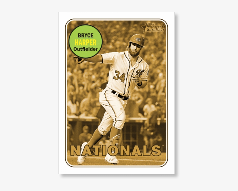 Bryce Harper - College Softball, transparent png download