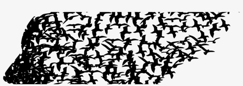 Focusing On Their Opinion Will Never Make You Happy - Mental Health No Background, transparent png download