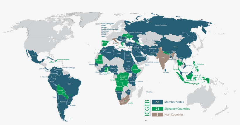 2018 Map - Holy See And The State Of Palestine, transparent png download