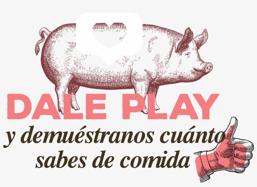 Start Quiz - Future Depends On What We, transparent png download