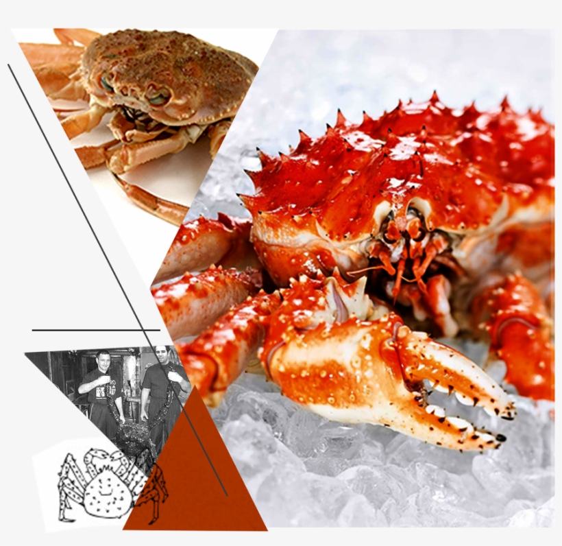 It's A Great Alternative To The Real Crab - Arctic Crab, transparent png download