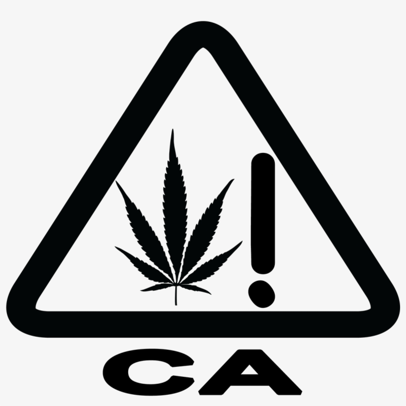 The Primary Panel Of A Cannabis Product Shall Be Marked - Weed, transparent png download