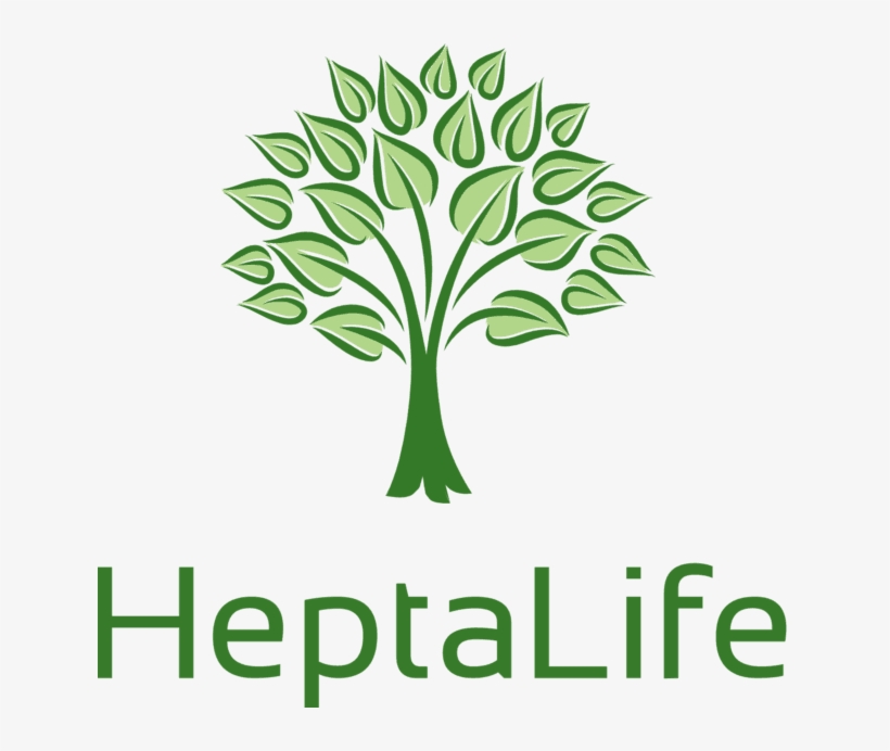 Heptalife - L Arbre De Compétences, transparent png download