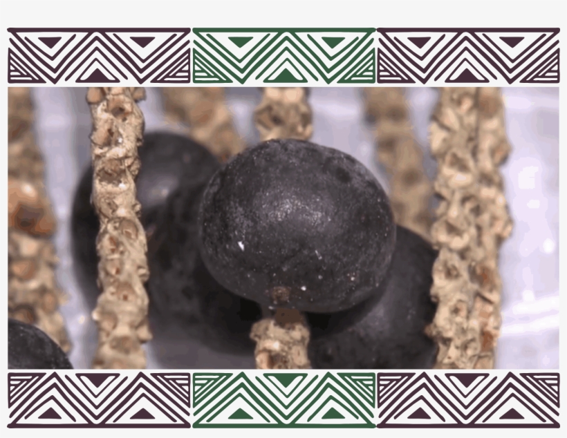 Serve Também Como Orientação Para A Escolha Da Polpa - Poster, transparent png download