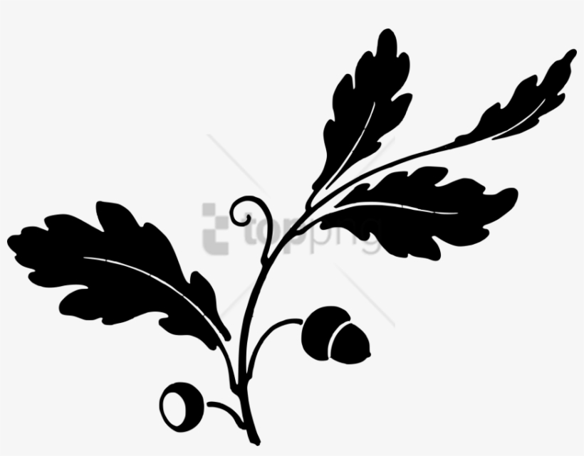 Free Png Oak Leaf Silhouette Png Image With Transparent - Transparent Oak Leaves Png, transparent png download