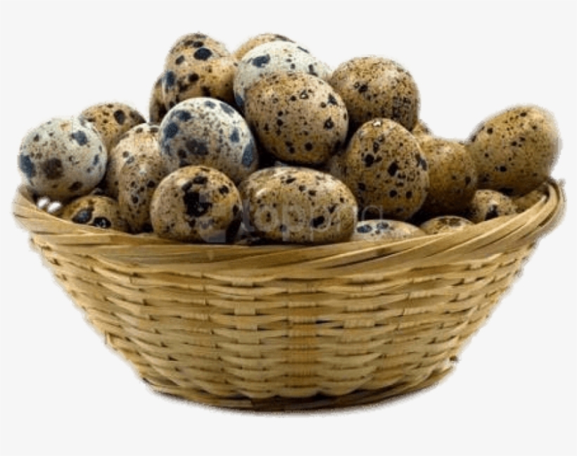 Free Png Download Basket Of Quail Eggs Png Images Background - Quail Eggs, transparent png download