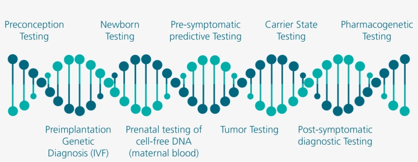 As Often Occurs With New Technology Or Scientific Advances, - Genetic Testing Done, transparent png download