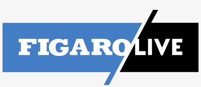 Vidéo - Le Figaro, transparent png download