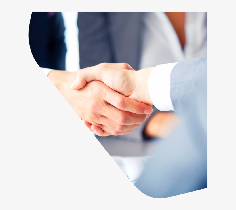 Leadership Team - Business Opportunity, transparent png download