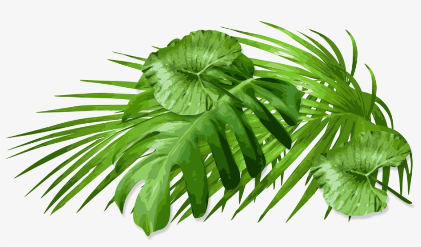 Follow The Fedora To Free Attractions Below, transparent png download