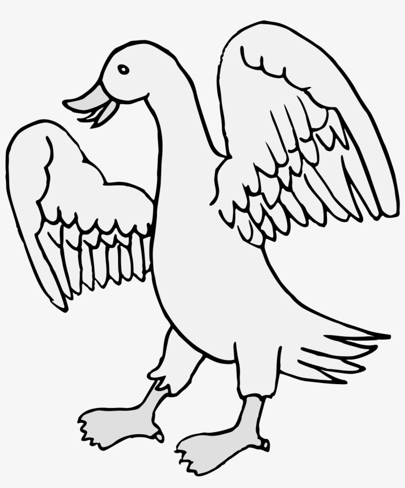 Details, Png - Duck, transparent png download