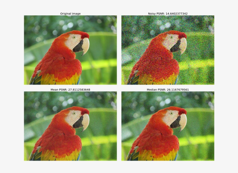 676 X 528 2 - Macaw PNG Image | Transparent PNG Free Download on SeekPNG