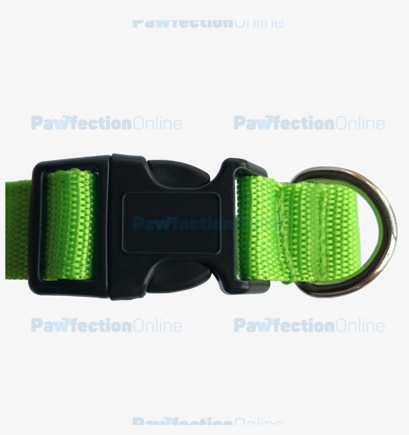 The Durable Nylon Green Led Dog Collar Is Part Of The, transparent png download