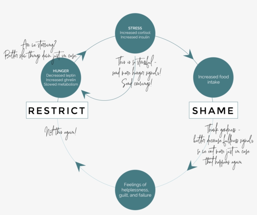 Restrict Shame Cycle-02 - Diagram, transparent png download