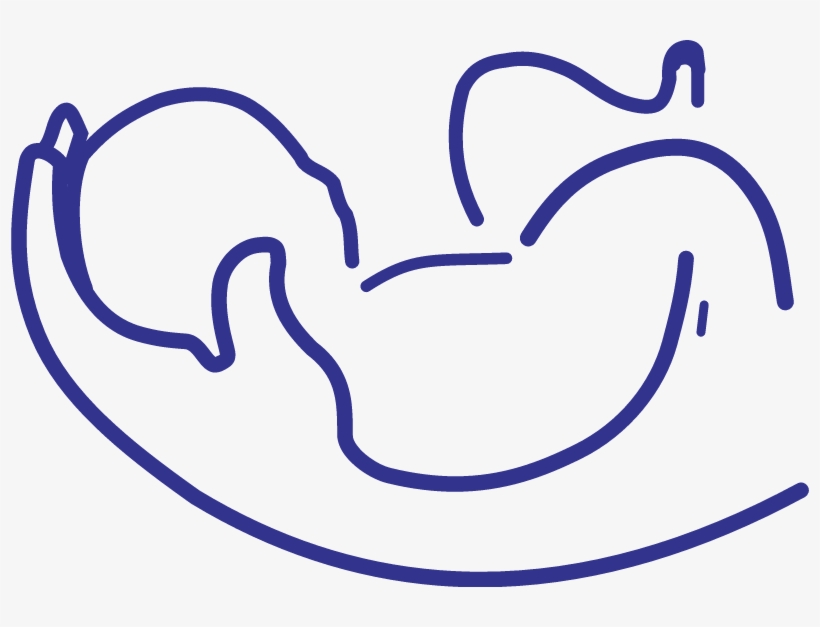 Baby Vector - Baby Logo Images Png, transparent png download