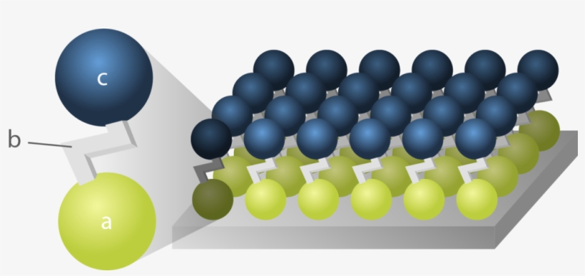Schematic Representation Of A Self-assembled Monolayer - Sphere, transparent png download