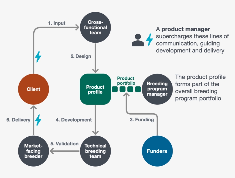 Through Workshops With Our Partners, Eib Has Developed - Diagram, transparent png download