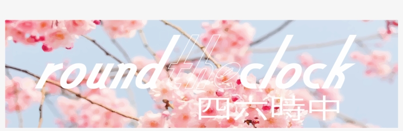 Cherry Blossom, transparent png download