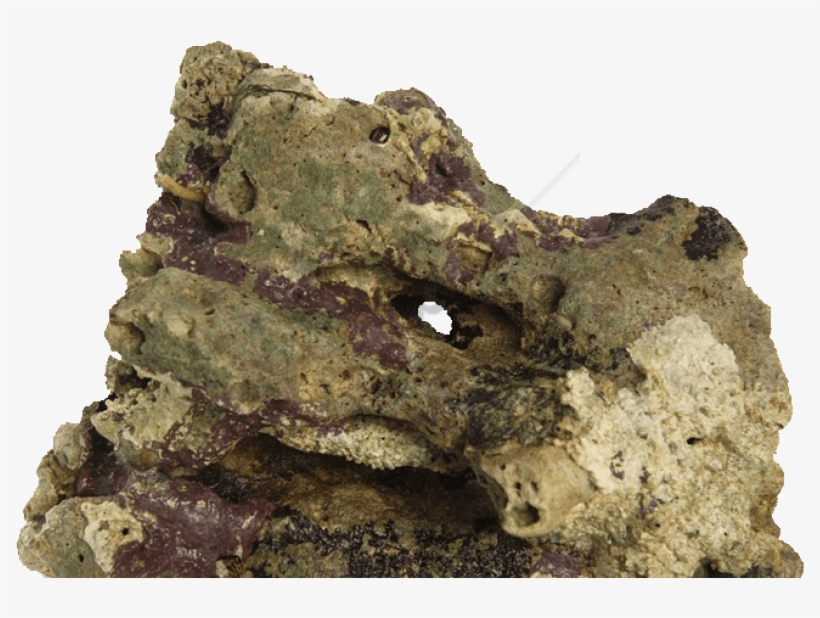 Free Png Download Rocas De Mar Png Images Background - Roca Viva, transparent png download