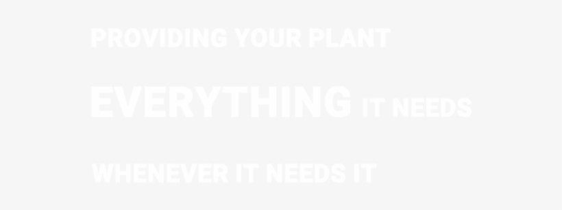 Scroll Down To Find The Right Dosing Solution For Your - Toronto Film Festival Logo White, transparent png download