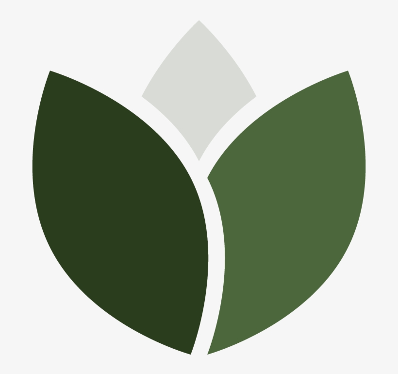 Fav-icon PNG Image | Transparent PNG Free Download on SeekPNG