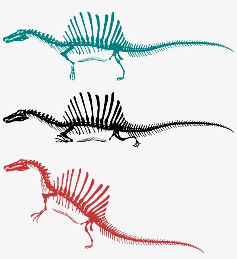 Another Major Controversy, Which Began In 2014 And - Most Accurate Spinosaurus, transparent png download