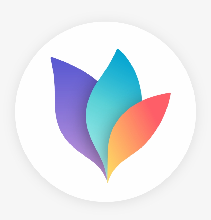 Mind Map, transparent png download