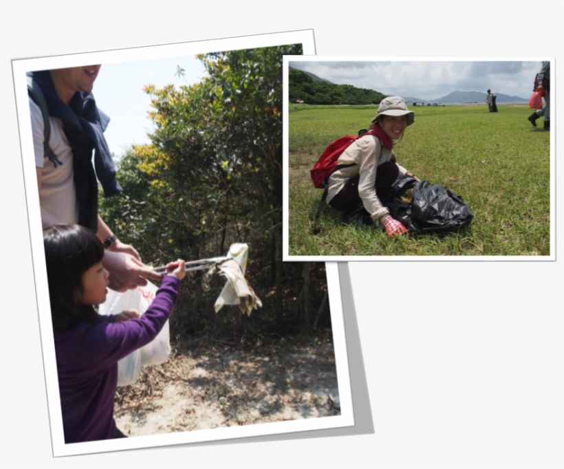 Join Us And Work With Us - Grass, transparent png download