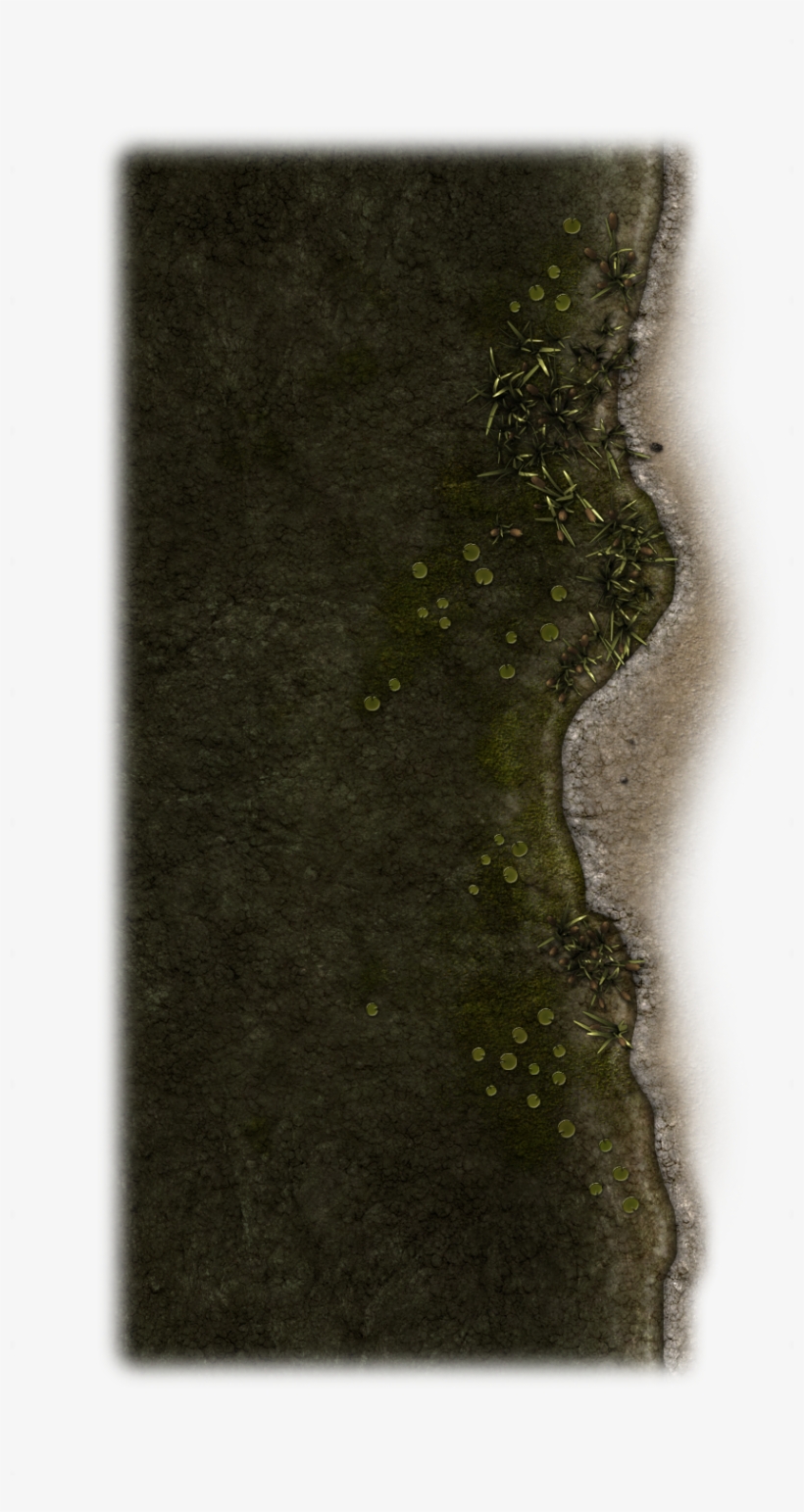 114363-vtwm Swamp 18 - Grass, transparent png download