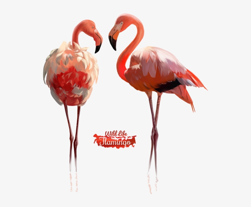 Pink Flamingo Illustration By - Watercolor Painting, transparent png download