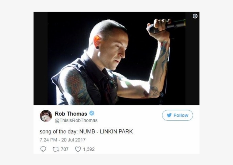 гаджет честера