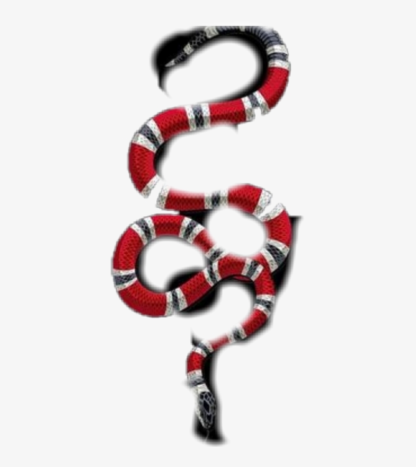 Sonoran Coral Snake, transparent png download
