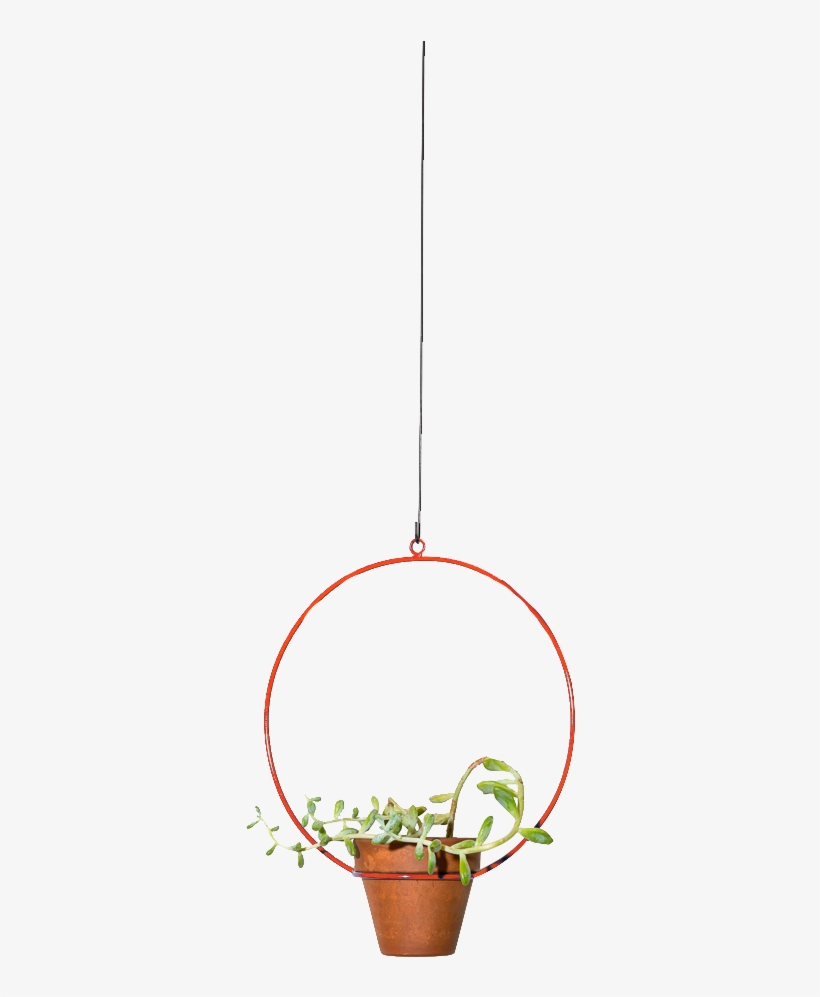 Hanging Circle Planter 10" - Flowerpot, transparent png download