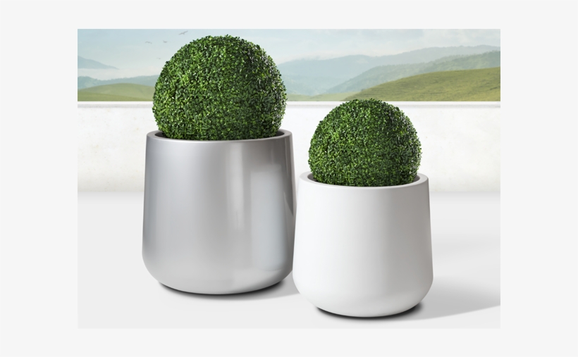Lightweight And Durable The Solo Planter Is So Versatile - Tree, transparent png download