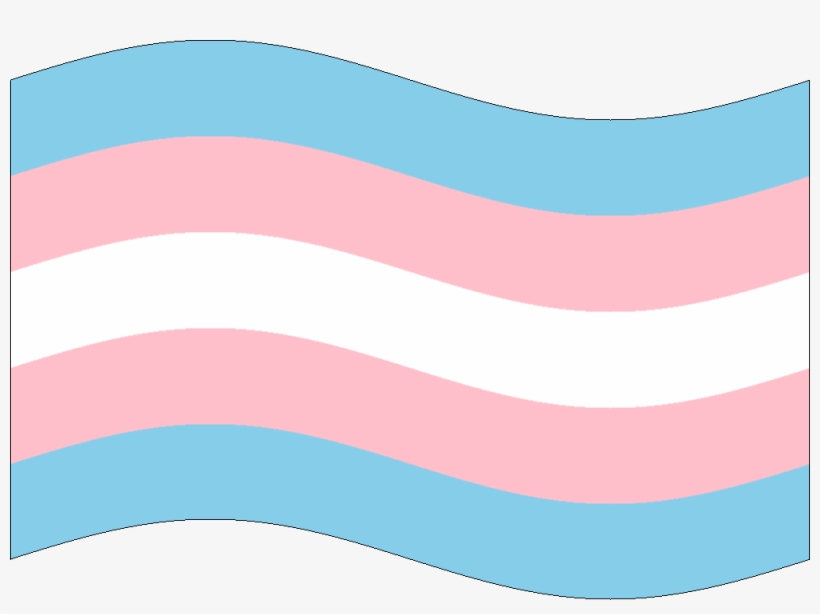 Recent Posts Asexuality Archive Png Assume Large Trans - Illustration, transparent png download