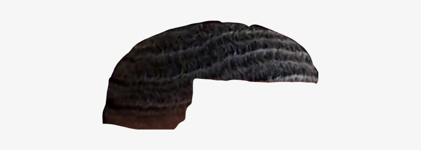 Slender Blind Snake, transparent png download