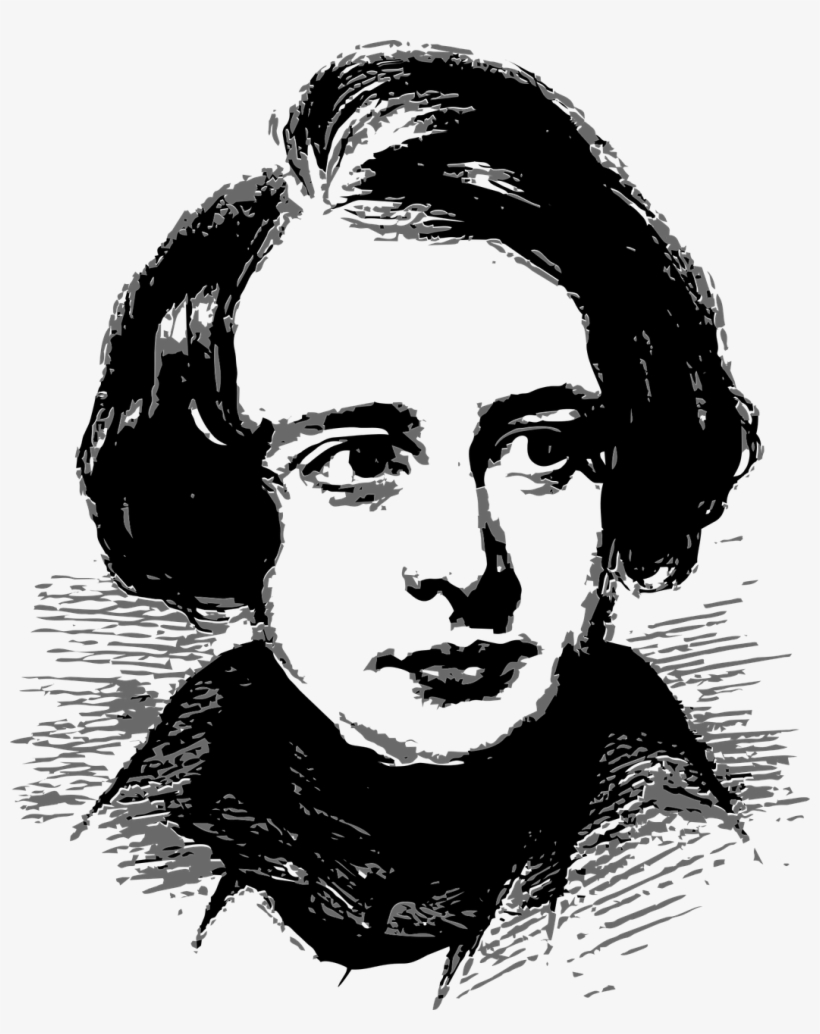 Face Man Portrait - Sketch, transparent png download