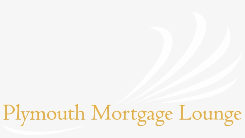 You Can Check Your Credit Rating On Experian Now - Miss Prestige National, transparent png download