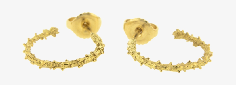 Evergreen Hoop Earrings - Earrings, transparent png download