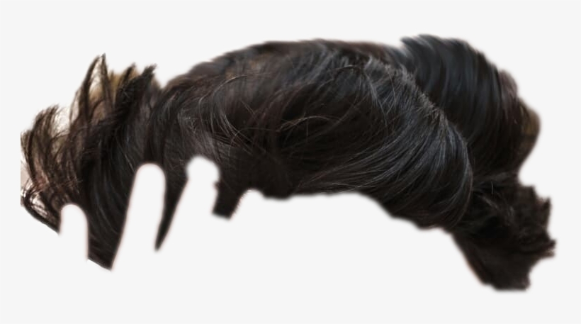 Cb Hear Png ➤ Download - Turkey, transparent png download