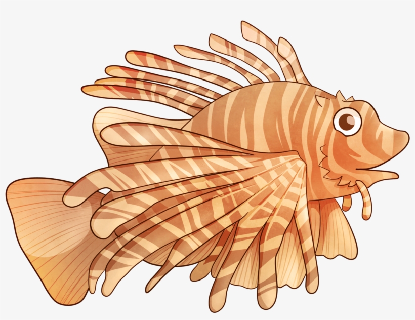 Aquatic Friends / Illustrations - Illustration, transparent png download
