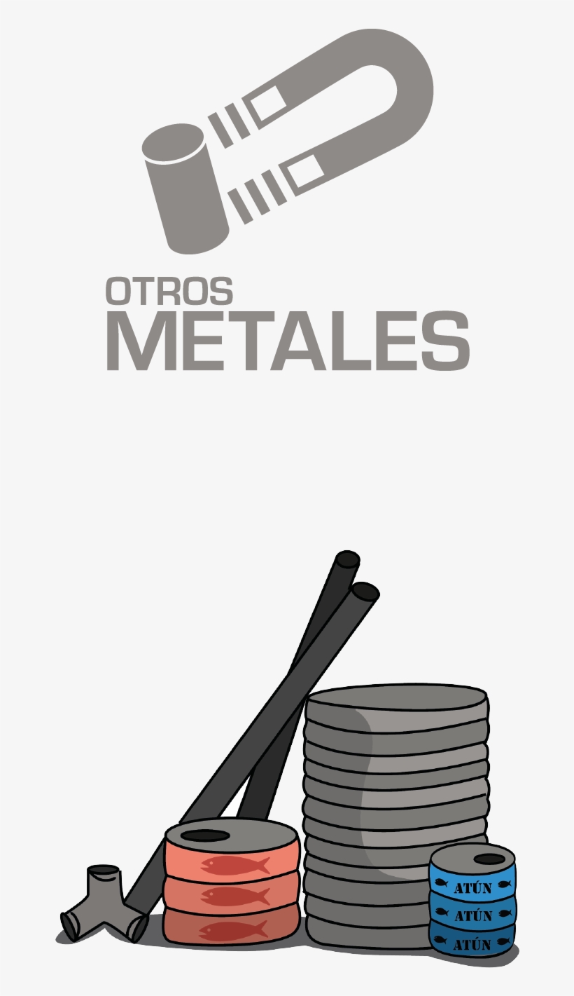 Latas De Chile Jalapeño, Salsas, Atún, Sardina O Suplementos - Decisiones Telemundo, transparent png download