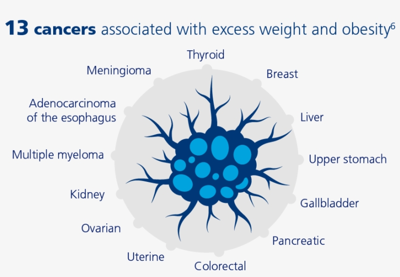 13 Cancers Associated With Excess Weight And Obesity - Circle, transparent png download