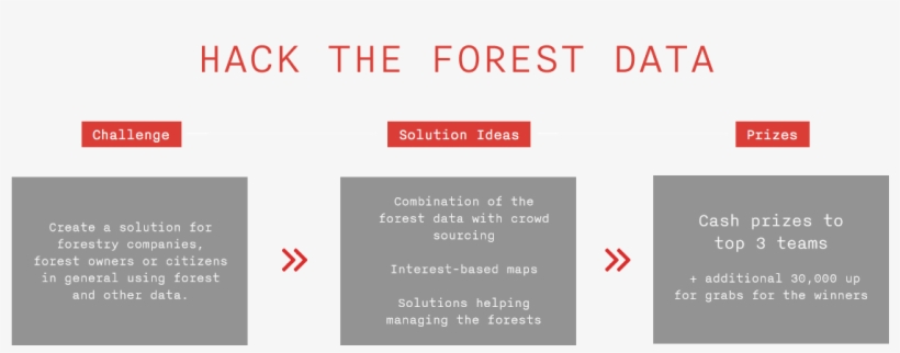 Hack The Forest Data Infographic - Graphics, transparent png download