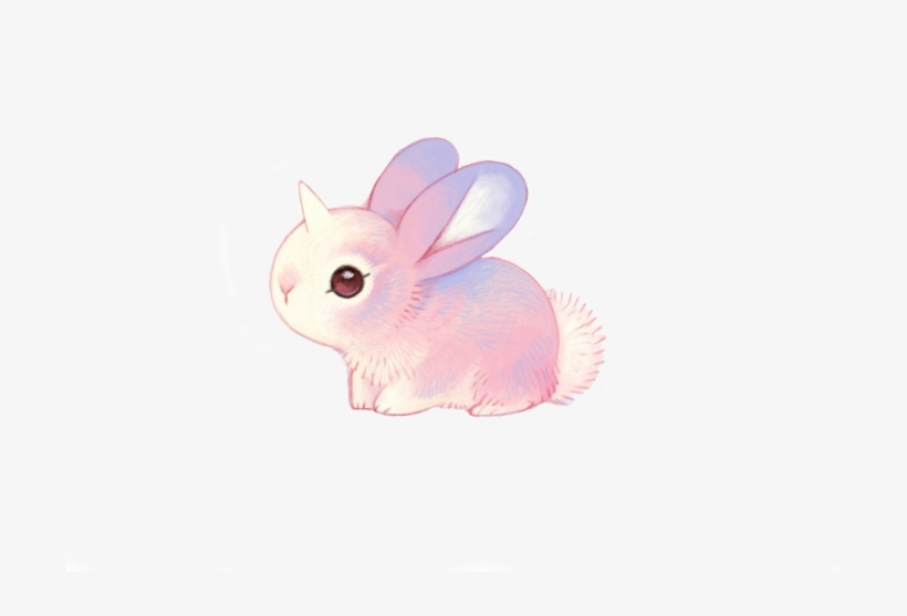Domestic Rabbit, transparent png download