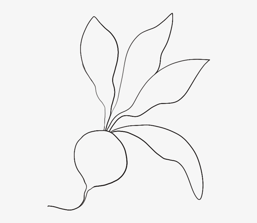 Welcome To Our Green Kitchen - Sketch, transparent png download