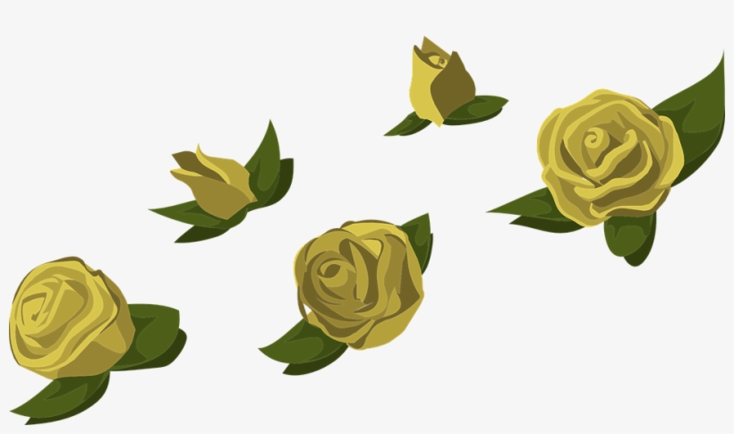 Yellow Rose Flower Free Png Transparent Images Free - Canh Hoa Hong Vector, transparent png download