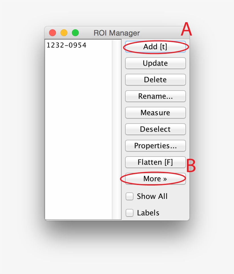 How To Manually Draw A Region Of Interest In Imagej - Colorfulness, transparent png download