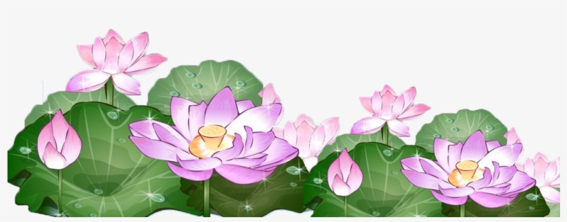 Lotus Clipart Hand Drawn - Lotus, transparent png download