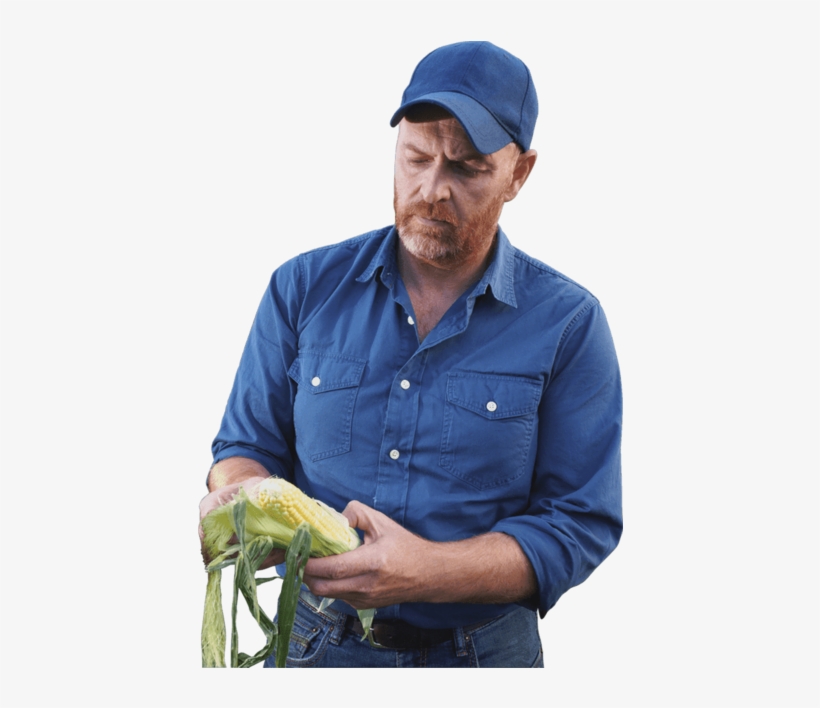 This Png File Is About Raising Field Crops , Laborer - Farmer Png, transparent png download